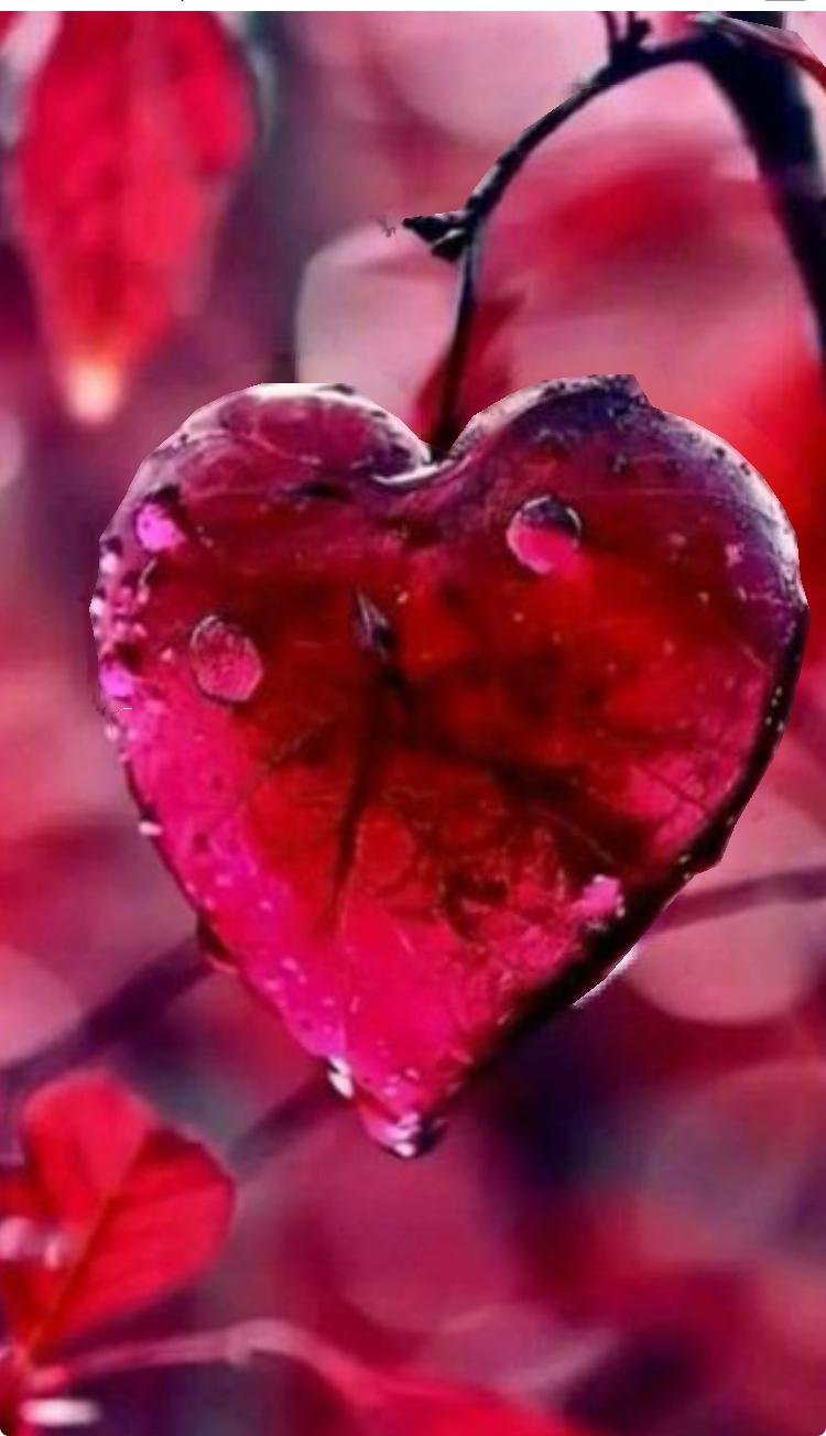 Zelf Liefde